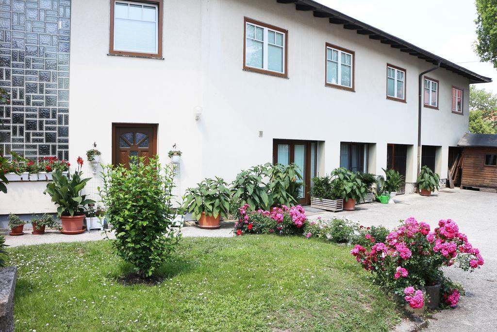 Homestay Haus Zu Den Zwei Eichen Perchtoldsdorf